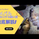 【春メバル徹底解説！】初めてでも楽しめる！釣りのコツ＆狙い目