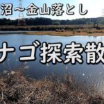 【タナゴ釣り】金山落としから下手賀沼釣り散歩