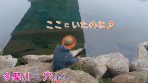 多摩川で穴釣り？？ 春を待つ魚は穴に隠れてました♪ 多摩川で穴釣り。