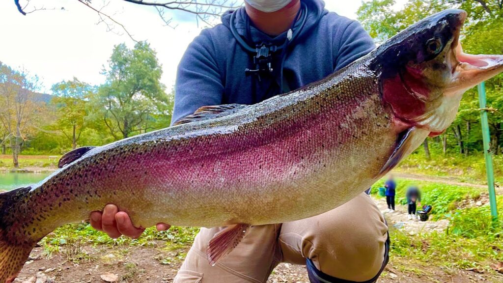 【衝撃映像】怪物級の超巨大サーモンが潜む釣り場がヤバ過ぎた...