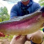 【衝撃映像】怪物級の超巨大サーモンが潜む釣り場がヤバ過ぎた...