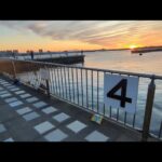 最新今切口浜名湖情報📢現在スナメリが付近でお散歩してます🐬【浜名湖釣り】🎣