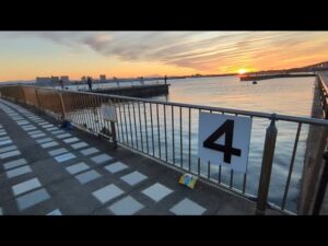 最新今切口浜名湖情報📢現在スナメリが付近でお散歩してます🐬【浜名湖釣り】🎣