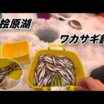 【爆釣】夫婦揃ってシーズン記録更新！#夫婦でワカサギ釣り#氷上ワカサギ釣り
