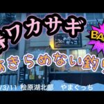 春ワカサギ　あきらめない釣り！#ワカサギ釣り #桧原湖ワカサギ釣り #レイクマスター #シマノ #やまぐっち