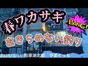 春ワカサギ あきらめない釣り!#ワカサギ釣り #桧原湖ワカサギ釣り #レイクマスター #シマノ #やまぐっち