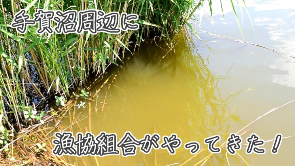 手賀沼周辺で小物釣りしてたら漁協組合がやってきた！