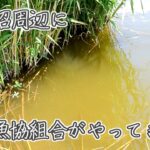 手賀沼周辺で小物釣りしてたら漁協組合がやってきた！