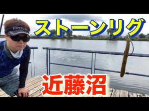 素晴らしい沼 可能性大!!! 近藤沼 バス釣り おかっぱり