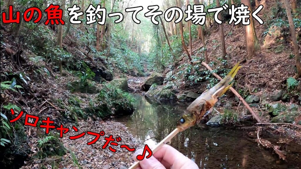 釣った魚で朝ごはんは最高！！ソロキャンプ♪