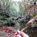 釣った魚で朝ごはんは最高！！ソロキャンプ♪