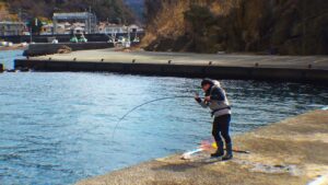 漁港で入れ食いになった大物を市場で換金してみると…