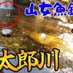 管理釣り場を貸し切って渓流釣りしてみた！渓流解禁前コラボ釣行！