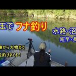 【鮒釣り】埼玉でフナを釣る！水路・沼・川で釣る♪短竿・長竿で釣る♪柿の種から大物まで釣る♪鮒・ふな・フナを釣りまくる！！