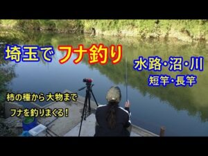 【鮒釣り】埼玉でフナを釣る!水路・沼・川で釣る♪短竿・長竿で釣る♪柿の種から大物まで釣る♪鮒・ふな・フナを釣りまくる!!