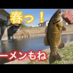 またもやこのワーム 春は一軍です。 おかっぱり バス釣り