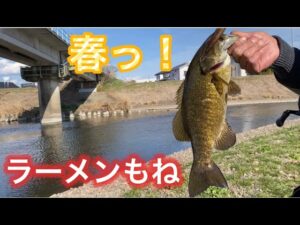 またもやこのワーム 春は一軍です。 おかっぱり バス釣り