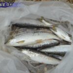 湯ノ湖と湯川で釣り解禁 日光