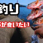 穴釣りで煮付けが食べたい！