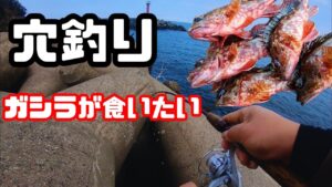 穴釣りで煮付けが食べたい！