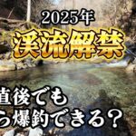 解禁直後の低活性でも、餌釣りなら爆釣できるのか試してみました【渓流釣り】