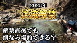 解禁直後の低活性でも、餌釣りなら爆釣できるのか試してみました【渓流釣り】