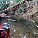 秘境でのんびり釣りしてソロキャンプ？しました♪