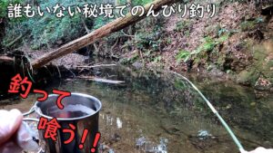 秘境でのんびり釣りしてソロキャンプ?しました♪