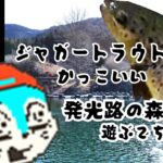 フィッシングわたらせ手伝いスズキの発光路の森釣行！やっと公開の自作ルアー『しりまる君』にジャガーが襲い掛かる！？とか何とか。