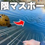 【衝撃】噂の爆釣トップルアーを投げたら無限にマスボールが...【エリアトラウト】【管理釣り場】【スプラッシュトップ】