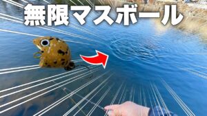 【衝撃】噂の爆釣トップルアーを投げたら無限にマスボールが...【エリアトラウト】【管理釣り場】【スプラッシュトップ】