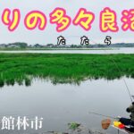 となりのトトロ？いや多々良沼です。へらぶな釣り