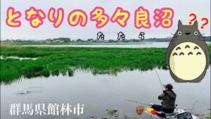 となりのトトロ？いや多々良沼です。へらぶな釣り