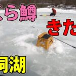 【わかさぎ釣り】ワカサギにさくら鱒が喰い付いた！岩洞湖。