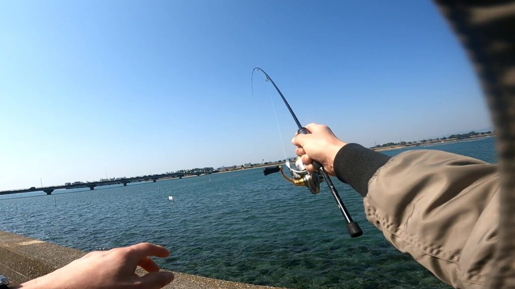 クリアすぎる浜名湖のクロダイを見て釣る