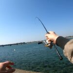 クリアすぎる浜名湖のクロダイを見て釣る