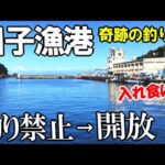 魚が爆釣する田子漁港で釣りをして来たのでご紹介します！そこはまるで釣り堀！【釣り禁止から開放された漁港】