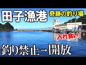 魚が爆釣する田子漁港で釣りをして来たのでご紹介します！そこはまるで釣り堀！【釣り禁止から開放された漁港】