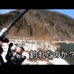 新潟で川釣り！はじめての雪中渓流釣りをした感想！？