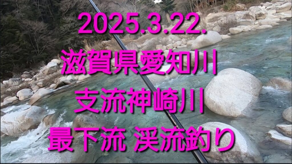 滋賀県 愛知川 支流神崎川 最下流　短時間釣行！