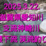 滋賀県 愛知川 支流神崎川 最下流　短時間釣行！