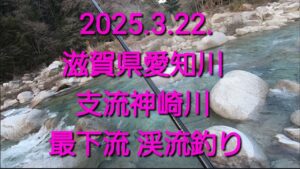 滋賀県 愛知川 支流神崎川 最下流　短時間釣行！