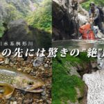 【渓流釣り】あの堰止湖の先にイワナの楽園はあるか？ 朝日山地／赤川水系