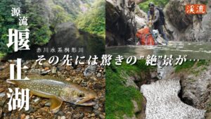 【渓流釣り】あの堰止湖の先にイワナの楽園はあるか？ 朝日山地／赤川水系