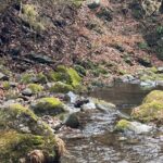 【渓流】東京の川に釣りに行ったよ【ルアー】