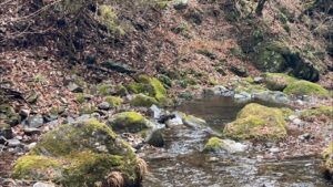 【渓流】東京の川に釣りに行ったよ【ルアー】