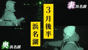 けっこう釣れる！今の浜名湖が釣れるか調査してきました。