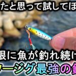 超小型ダイソージグは「とある使い方」で無限に魚が釣れる史上最強のルアーになります
