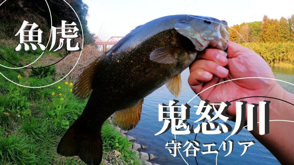 【鬼怒川、バス釣り、ブラクリ釣り】【利根川＆荒川水系、バス釣り、コイ釣り、雷魚釣り、ナマズ釣り、クチボソ釣り、餌釣り、フィシング、埼玉釣り、関東釣り、茨城釣り、守谷市エリア】