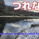 つれない釣り堀の賢者攻略【管理釣り場】【エリアトラウト】